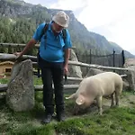 Smaragdhotel Tauernblick Hotel 4*